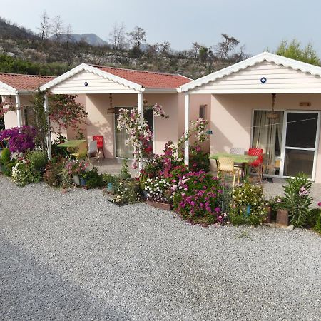Yelken Bungalov Acomodação com café da manhã Milas Exterior foto